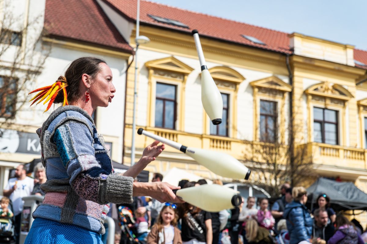 Vystoupení na kulturní akci